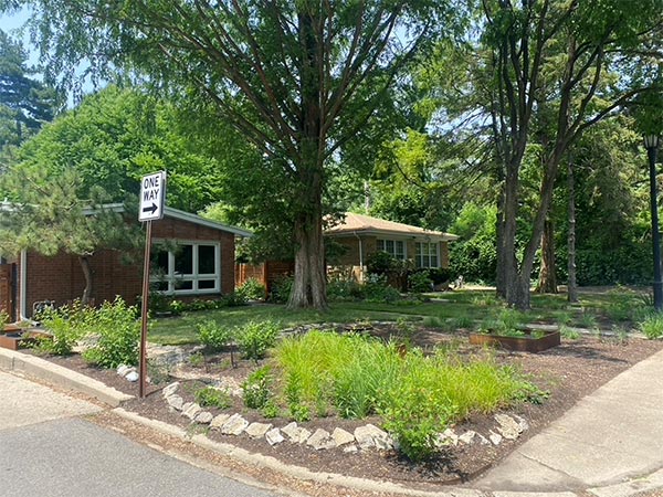 rain garden